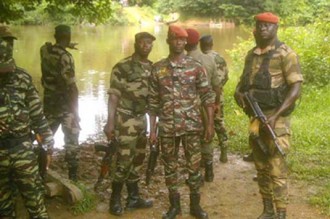 Côte dÂ’Ivoire : Une attaque contre des agents des eaux et forêts fait 1 mort à  Taï 